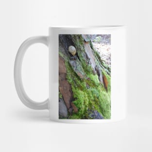 Snail Hideaway Mug